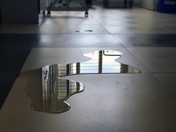 Best Water damage restoration near me  in Mcalmont, AR