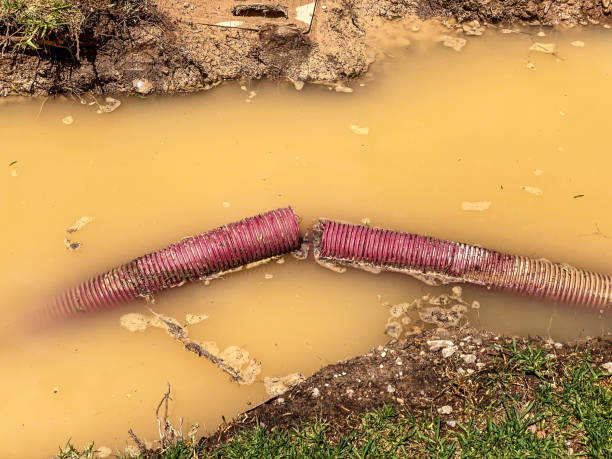 Best Water damage contractors near me  in Mcalmont, AR